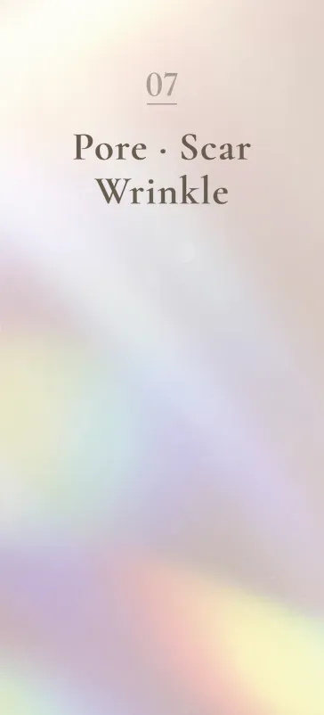 07 Pore · Scar · Wrinkle
