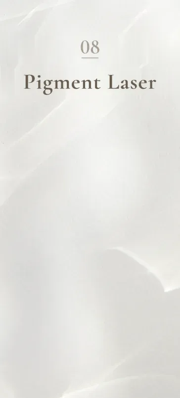 08 Pigment Laser