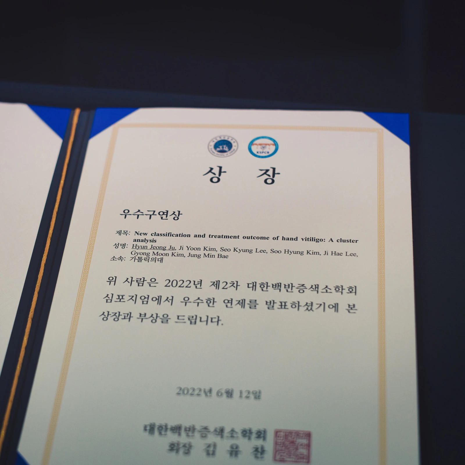 손 백반증 연구, 학회 우수연구상 수상 대표 이미지