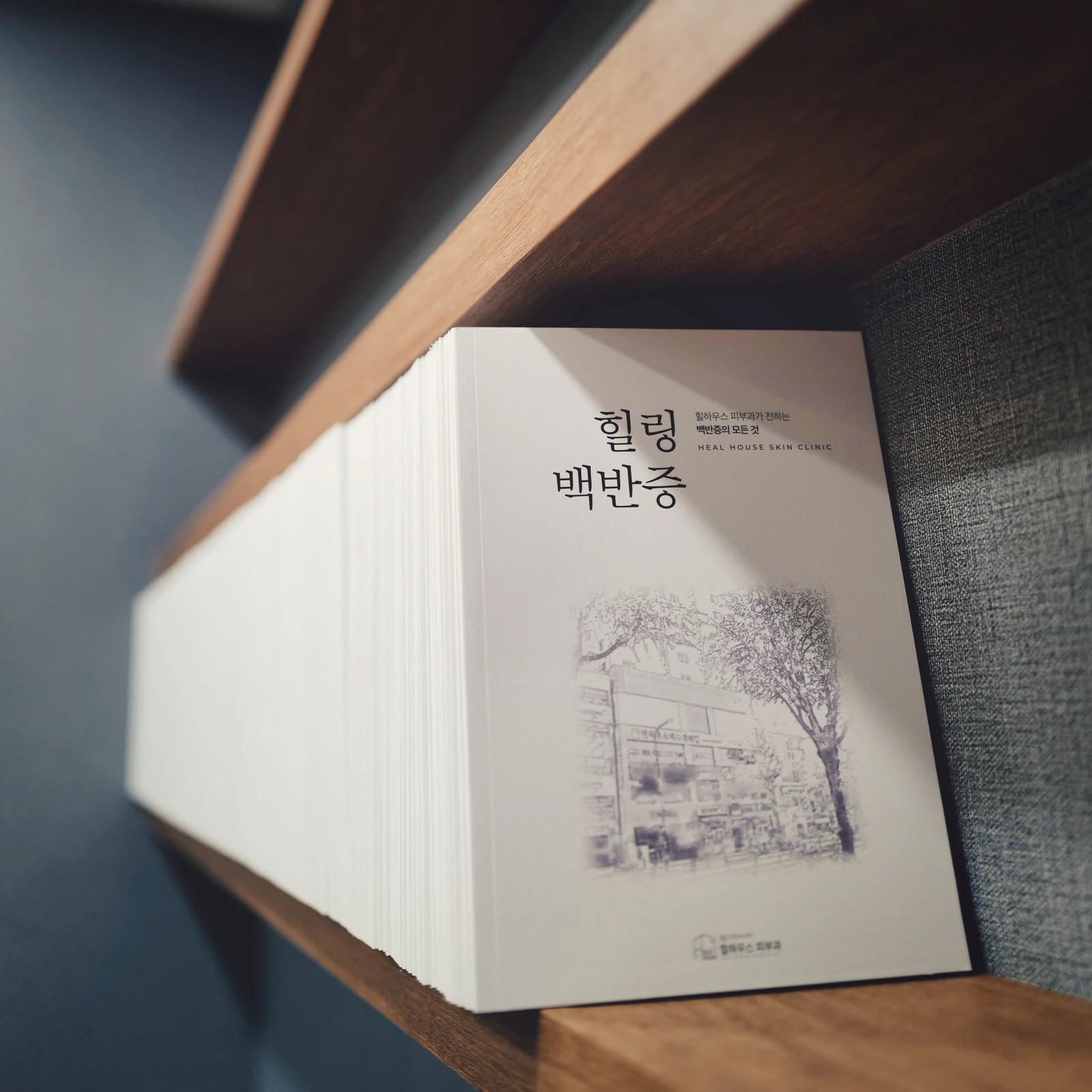 백반증 바이블 “힐링 백반증” 출간 관련 사진 2