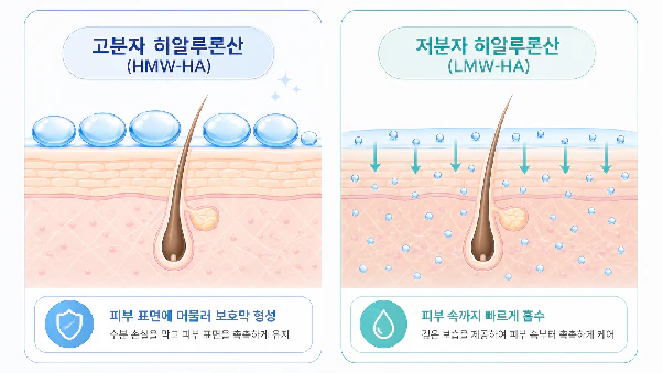 힐로웨이브 후기, 효과와 부작용 필러와의 차이까지 본문 이미지 3